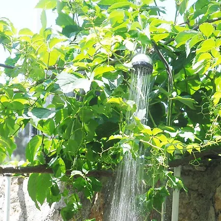 Διαμέρισμα Siesta Ντουμπρόβνικ